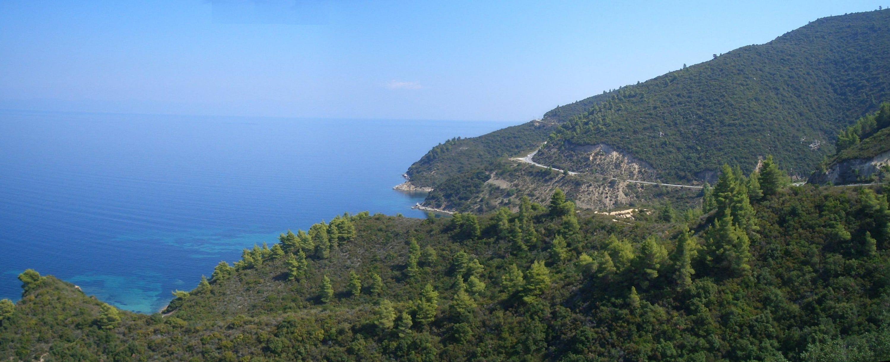Pine-covered headlands and blue sea on the Sithonia coast near Vourvourou